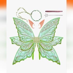 Green Fairy Costume Set with Wings and Accessories